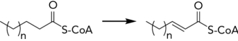 Which cofactor is utilized in the following fatty acid oxidation reaction?   A)  ATP B)  NAD<sup>+</sup> C)  FAD D)  NADP<sup>+</sup>