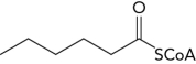 Starting from the 6C fatty acyl-CoA molecule shown below,draw the reactants and products,including all cofactors used for one round of the    -oxidation pathway and list the enzyme types involved in each step.  