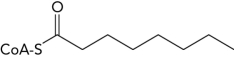 Start with the following molecule.(A)Write the balanced equation for the products formed from its complete oxidation in the    -oxidation pathway and (B)show how many ATPs would be obtained from the complete metabolism of those products.  