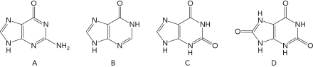 Which of the following is an intermediate in the conversion of AMP to uric acid but NOT an intermediate in the conversion of GMP to uric acid?   A)  A B)  B C)  C D)  D