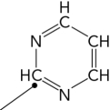 Which of the following is the precursor of the indicated carbon atom in a pyrimidine ring?   A)  aspartate B)  glycine C)  carbamoyl phosphate D)  orotate
