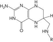 What is the name of the compound below,which is part of the pathway that regenerates N<sup>5</sup>,N<sup>10</sup>-methylenetetrahydrofolate?  