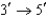 The tRNA   anticodon loop that recognizes the   codon UCC could have the sequence A)  AGG. B)  GGA. C)  UCC. D)  CCU.
