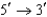 The tRNA   anticodon loop that recognizes the   codon UCC could have the sequence A)  AGG. B)  GGA. C)  UCC. D)  CCU.