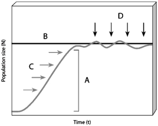   -On the population size as a function of time figure,choose the letter that represents a population's capacity for growth.