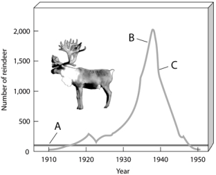   -On the exponential growth of reindeer figure,choose the portion of the graph that represents the number of reindeer that can be sustained indefinitely in a given area.