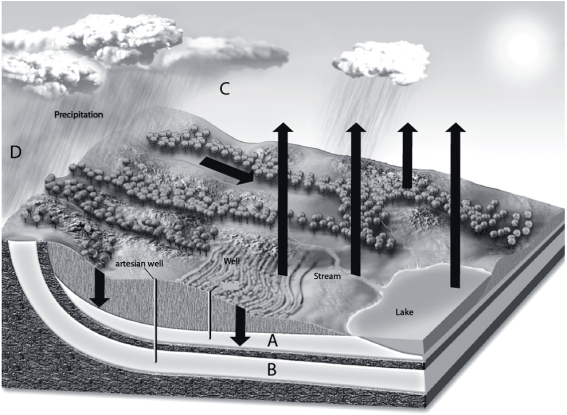  -On the groundwater system figure,choose the letter that represents an area that replenishes an aquifer by precipitation.