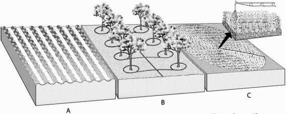   -On the major irrigation systems figure,choose the system that is the least efficient but is the most widely used because of low cost.