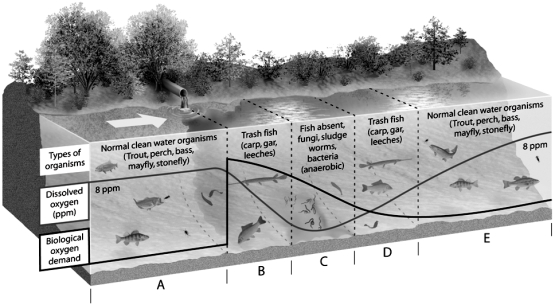   -On the dilution and decay of degradable wastes figure,choose the zone in which population of organisms with high oxygen requirements will most likely be eliminated.