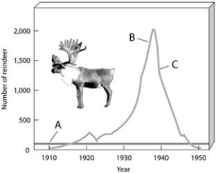 Labeling    -On the exponential growth of reindeer figure, choose the portion of the graph that represents the number of reindeer that exceeded the carrying capacity of their environment.