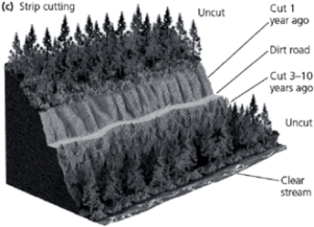 Critical Thinking    -List three potential harmful effects that could have occurred after the dirt road in the accompanying figure was built in the area.