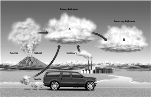 Labeling    a.A b.B -On the accompanying air pollution diagram, choose the letter that represents SO<sub>3</sub>, HNO<sub>3</sub>, H<sub>3</sub>SO<sub>4</sub>, H<sub>2</sub>O<sub>2</sub>, O<sub>3</sub>, PANs, and most NO<sub>3</sub><sup>−</sup> and SO<sub>4</sub><sup>2−</sup> salts.