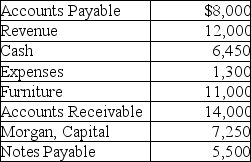 The following are selected current month's balances for Morgan Company.   Based on this information,calculate the total amount of credits for the trial balance. A) $25,500 B) $20,750 C) $24,750 D) $32,750