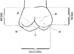 In the figure below, c  represents the ____________.   
