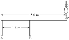 An 82-kg diver stands at the edge of a light 5.0-m diving board,which is supported by two vertical pillars that are 1.6 m apart,as shown in the figure.Find the magnitude and direction of the force exerted by each pillar.  