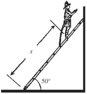 In the figure,a uniform 200-N ladder 10 m in length leans against a perfectly smooth wall.A 600-N firefighter climbs a distance x up the ladder.The coefficient of static friction between the ladder and the floor is 0.50.What is the maximum value of x for which the ladder will not slip?   A) 3.9 m B) 5.0 m C) 6.0 m D) 6.3 m E) 8.4 m
