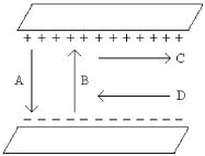 <strong>Which one of the arrows shown in the figure best represents the direction of the   field between the two uniformly charged metal plates?  </strong> A)A B)B C)C D)D E)None of the above <div style=padding-top: 35px> 