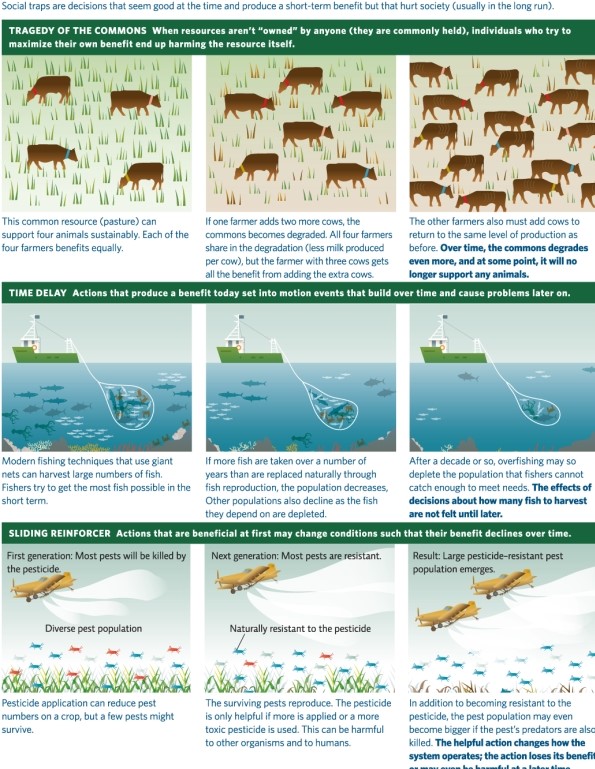 Infographic 8 -Refer to Infographic 8.Ethanol is often produced in locations where farmers also grow corn.Underground water reservoirs are used to grow the corn and process the ethanol.These reservoirs are being depleted in some areas of the Midwest.Which social traps apply to the water depletion?
