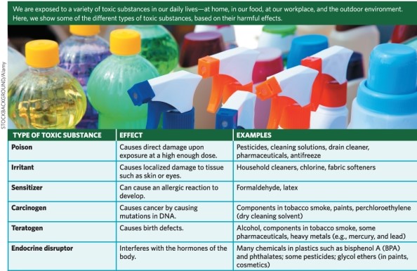 Infographic 1    -Refer to Infographic 1 below.How could a toxic substance be classified into more than one category? 