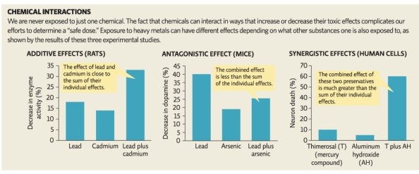 Science Literacy Une Infographic 3 below to answer the next questions.   -What is the chemical interaction and effect of decrease in enzyme activity when both lead and cadmium are given to rats? A) antagonistic effect causing a 35% decrease in enzyme activity B) additive effect causing a 35% decrease in enzyme activity C) synergistic effect causing a 25% decrease in enzyme activity D) antagonistic effect causing a 25% decrease in enzyme activity