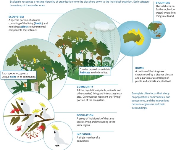   -Refer to Infographic 1.Use the infographic to describe examples of considerations scientists had to take into account when planning Biosphere 2.  