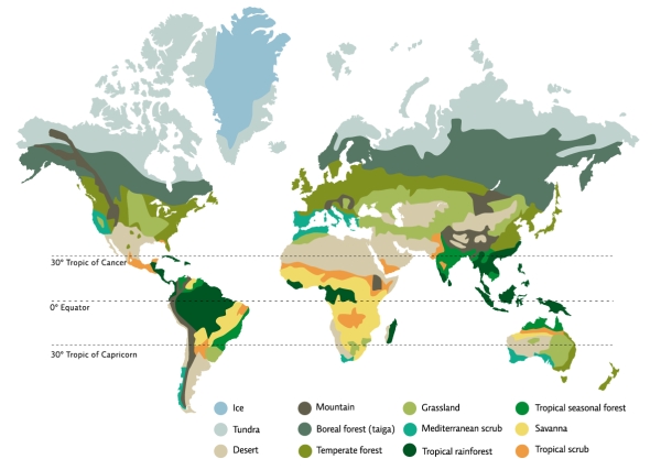 Refer to Infographic 3.From the infographic,which type of biome is mostly found 30° north or south of the equator? What conditions exist there?   