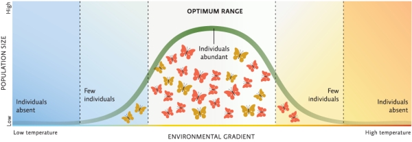 Refer to Infographic 4.For several years,you have been investigating the effects of a warmer climate on a butterfly population.Recently,you have noticed that the butterflies found in what would traditionally be the zone of physiological stress are growing and breeding more successfully than the butterflies in the zone of optimum range.How do you explain this shift?   