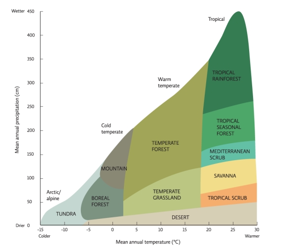 Science Literacy Use the following graph to answer the next questions:   -Which biome has the greatest range of mean annual temperature? A) temperate forest B) tundra C) tropical rainforest D) desert