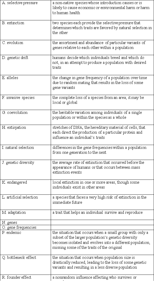 Match each term in the left-hand column to the statement that it best exemplifies.   