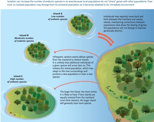 Refer to Infographic 5 below.Which of the islands A,B,or C would have the lowest number of endemic species and why?   