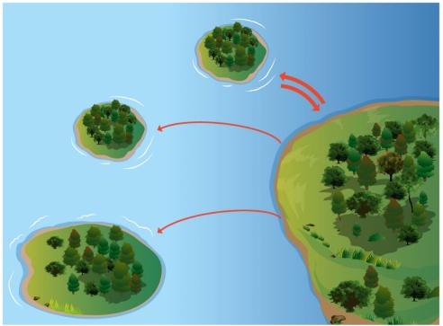 Science Literacy Use the following graphic to answer the following questions.         -Between islands B and C,which one will have more species? A) B B) C C) They will have the same number of species.