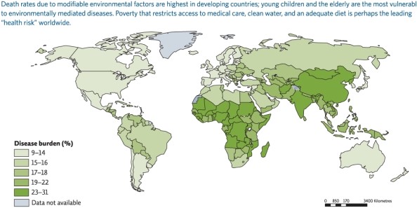 Refer to Infographic 5 below.Which economic status shows the largest proportion of infectious,neonatal,and nutritional diseases?   A) high income B) upper-middle income C) lower-middle income D) low income E) They all have the same proportion of infectious,neonatal,and nutritional diseases.