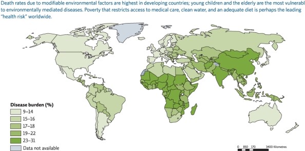 Refer to Infographic 5 below.Which area shows the highest percentage of disease burden?   A) United States B) Australia C) South America D) Africa E) Canada