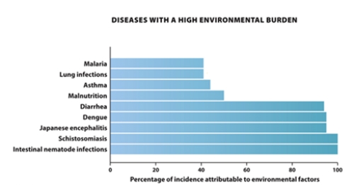 Science Literacy Look at this breakdown of the environmental connection to some of the most serious human health problems and answer the questions that follow.   -Which of the following is the probable question researchers were trying to answer with this study? A) Which human health problems are most affected by environmental factors? B) Are human health problems more problematic in developing or developed regions? C) Which types of disease cause the most deaths-communicable or noncommunicable? D) How do major human health problems compare in terms of incidence and death?
