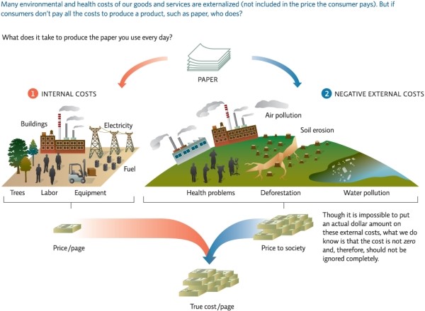 Refer to Infographic 5.Why is it important to consider the cost to an ecosystem when purchasing a product as well as considering the price of the object or service?   