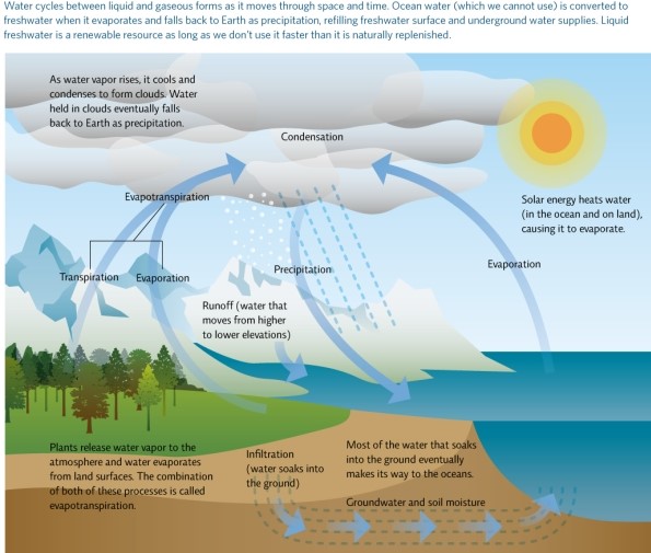 Refer to Infographic 2.Explain the steps and processes in the water cycle as water moves from the ocean to the atmosphere to land and back to the ocean.   