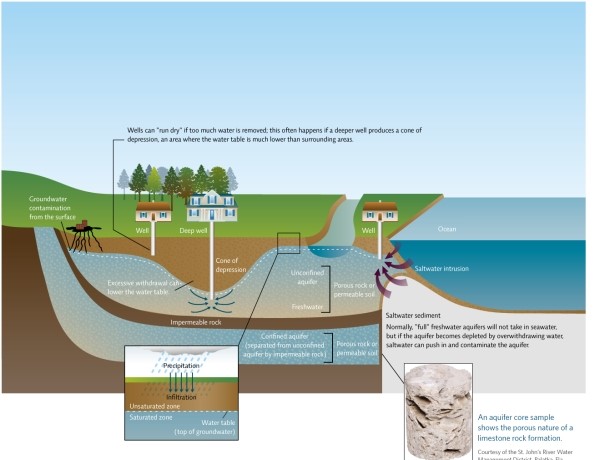 Refer to Infographic 3.Explain the relationships between the saturated and unsaturated zones,precipitation and infiltration,and the water table.   