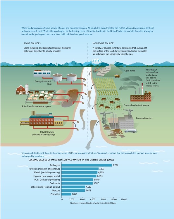 Refer to Infographic 1.What is the leading cause of impaired surface water in the United States?   A) nutrients such as nitrogen and phosphorus B) metals C) low oxygen levels D) pathogens E) pesticides