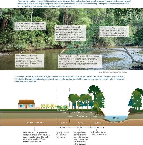 Refer to Infographic 6.Which of the following would be appropriate land use for Zone 3?   A) industrial projects B) managed forests C) undisturbed forests D) residential homes E) light agricultural use