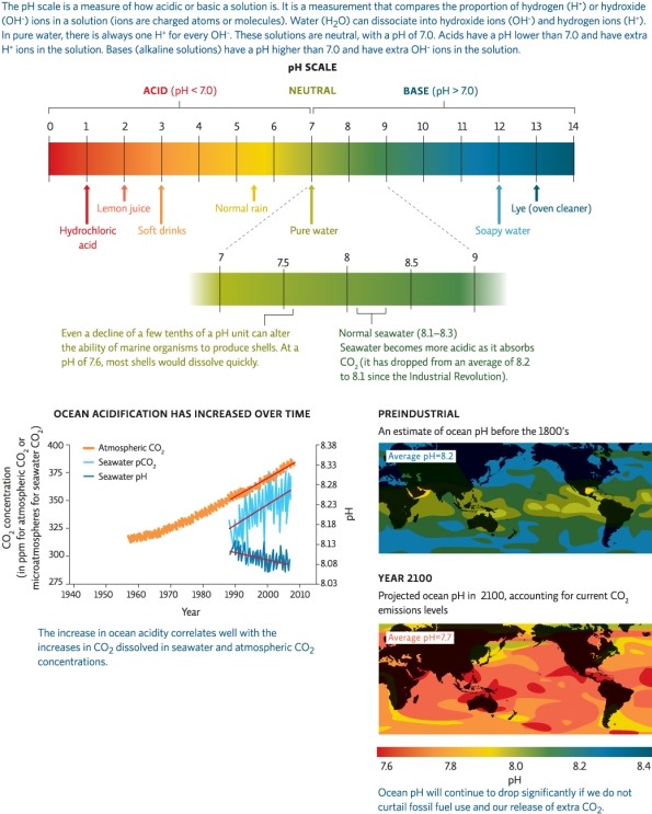 Refer to Infographic 1.Carbon dioxide emissions have reduced the ocean's pH by about 0.1.Why is this acidification of the ocean a problem?   