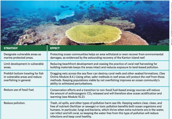 Refer to Infographic 7.Describe ways that you can reduce threats to ocean ecosystems through your personal actions.   