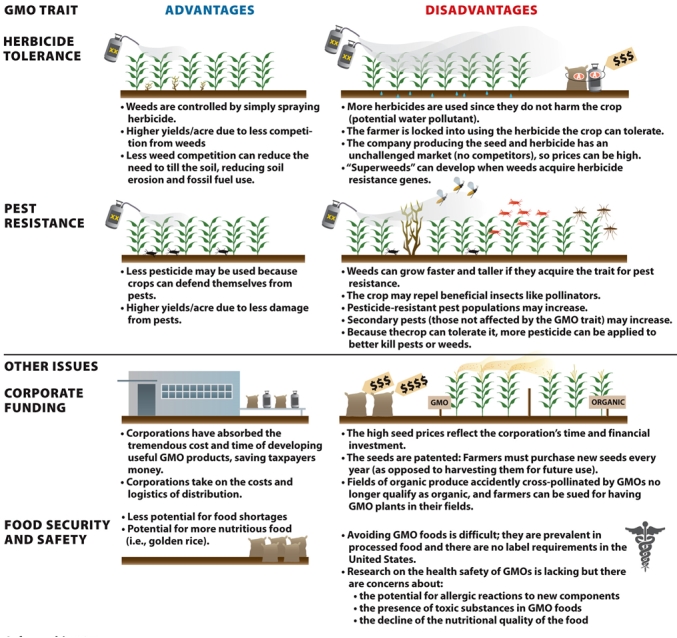 Refer to the graphic below.When looking at the advantages and disadvantages of using GMO crops as food sources,do you think the pros outweigh the cons? Now imagine if you were a member of a community in West Africa.Would your opinion about the value of GMO crops change?   