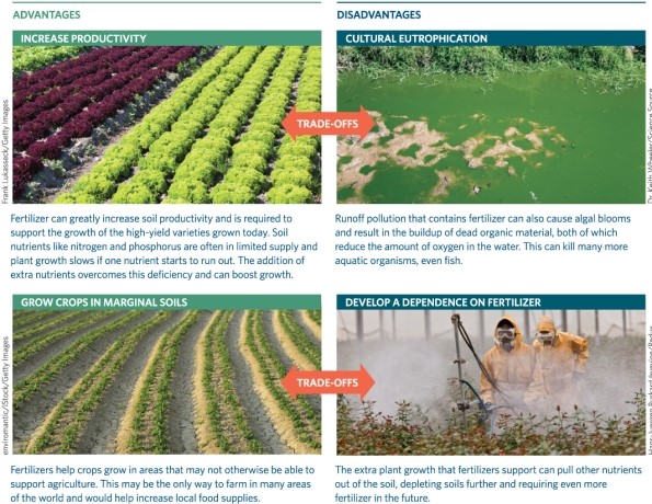Refer to Infographic 2.How do industrial agricultural methods lead to eutrophication and dead zones?   