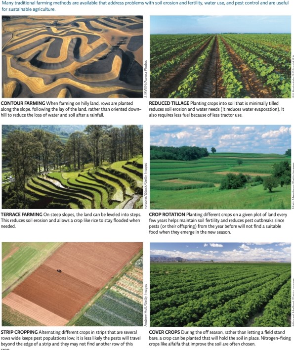 Refer to Infographic 6.Which methods increase soil fertility,and why?   