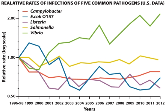 According to the graph below,the incidence of E.coli contamination?     E.coli foodborne illness in the United States has trended toward the set goal of no more than 0.6 cases per 100,000.What are some preharvest and postharvest strategies used in the beef industry to reduce