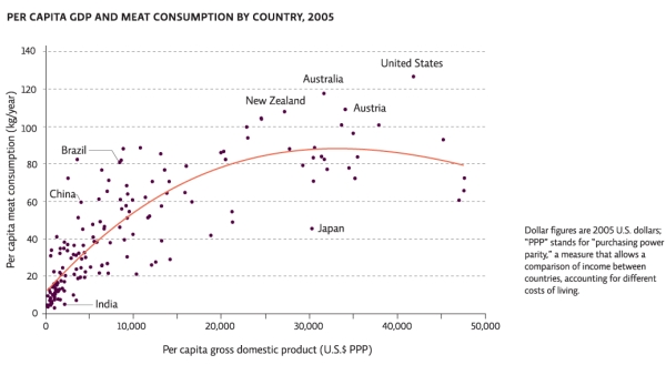 According to Infographic 2,in 2005 China's annual per capita meat consumption was _____ kilograms/year.   A) 5,000 B) 125 C) 60 D) 20 E) The information cannot be determined from this infographic.