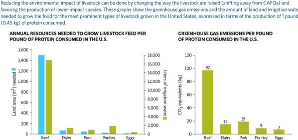 Science Literacy Use Infographic 5 below to answer the following questions.   -What is the order of land area needed from LEAST to GREATEST to produce the types of animal meat for consumption? A) beef → dairy → pork → eggs B) beef → pork → poultry C) poultry → pork → beef D) eggs → poultry → dairy → beef