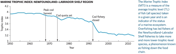 Refer to the graph in Infographic 3.What does the figure show?   A) fish catch in the 1960s containing mostly lower-trophic-level fish,suggesting that higher-trophic-level fish populations had been depleted B) the size of fish catch that could be harvested in any given year without decreasing the yield in future years C) the decrease in the size of the bycatch of different trophic levels over time as fishing technology improved D) a plot of the Marine Trophic Index from 1950 to 2006,which is a measure of the average trophic level of fish taken in a given year and which is an indicator of the status of a marine ecosystem E) the annual size of the cod harvest from 1950 to 2006
