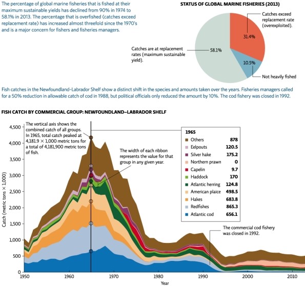Science Literacy Use Infographic 4 below to answer the next questions.   -In which year was the catch of eelpouts the greatest? A) 1965 B) 1960 C) 1970 D) 1975 E) 1950