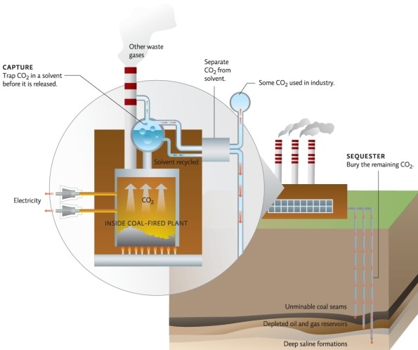 Refer to Infographic 7.Explain how carbon dioxide can be captured.   